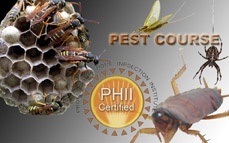Structural Pest Inspection Structural Pest Inspection