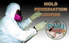 Mold Remediation Certification Course Mold Remediation Certification Course